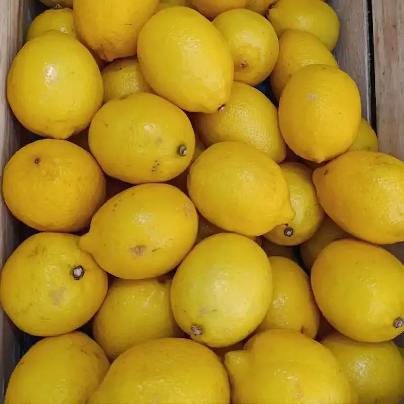 Limones