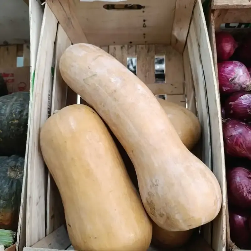Calabaza