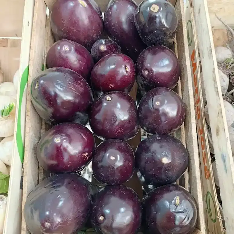 Berenjenas