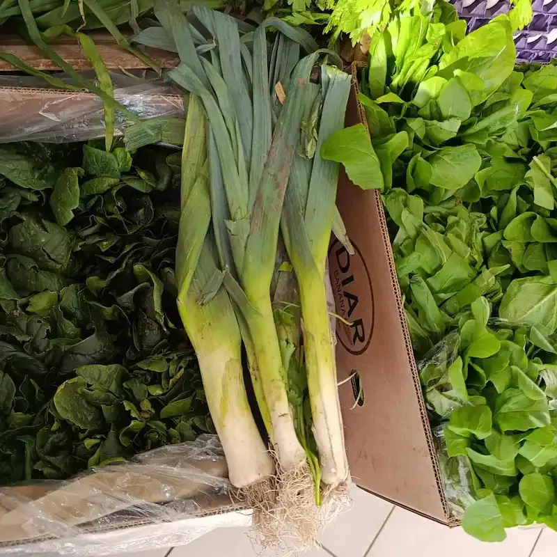 Puerro