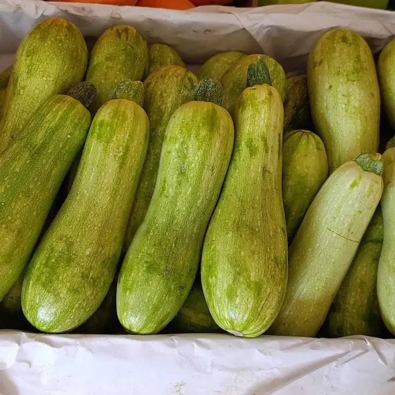 Zucchini