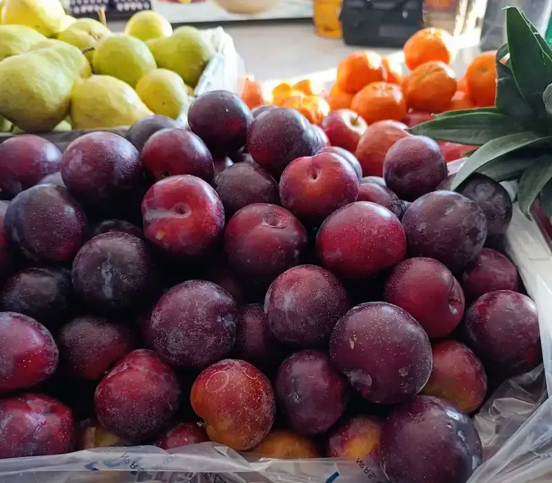 Ciruelas