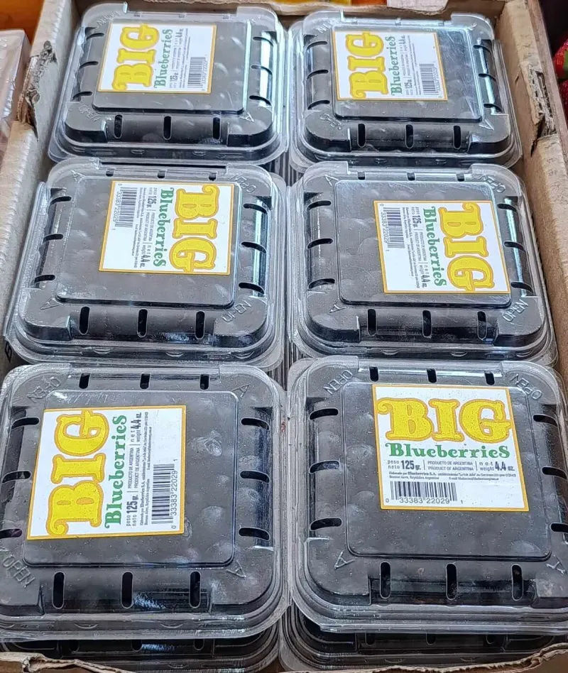BIG Blueberries