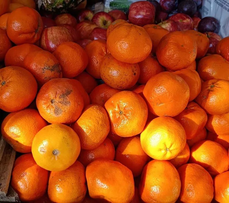Mandarinas