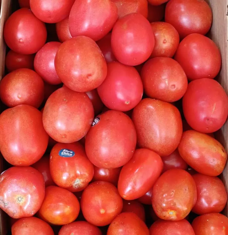 Tomates