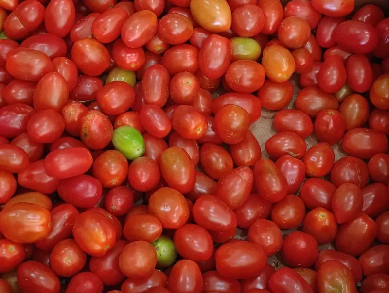 Tomates