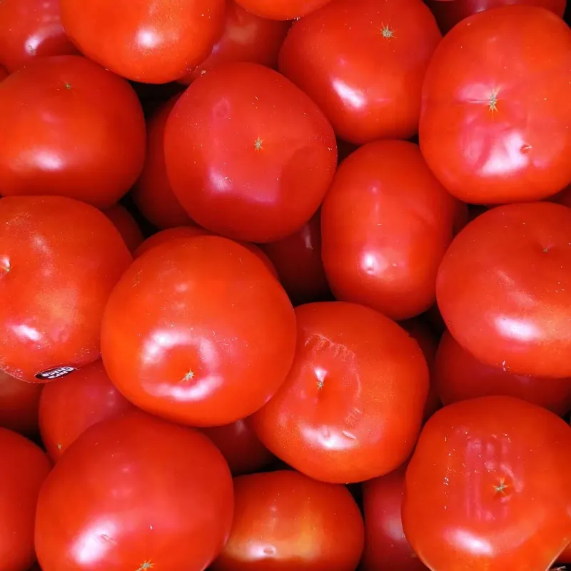 Tomates
