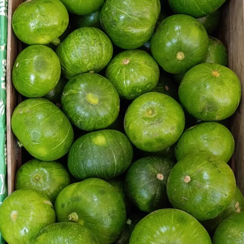 Zapallitos verdes redondos