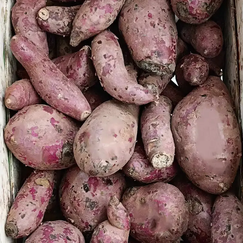 Batatas