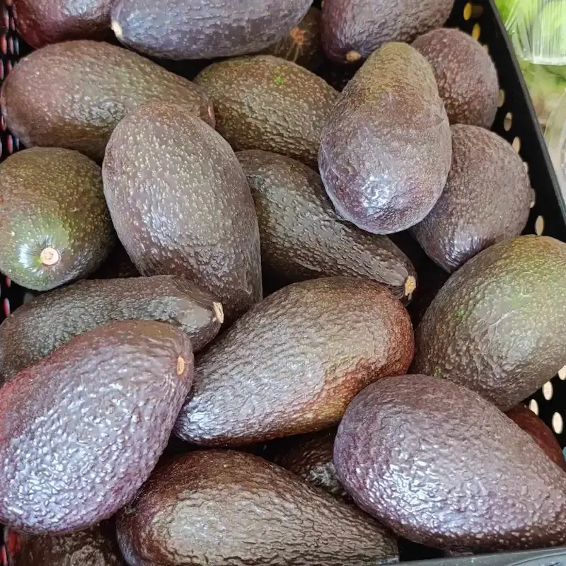Paltas