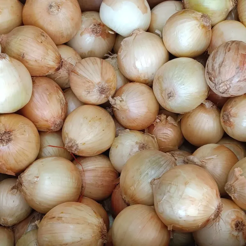 Cebollas