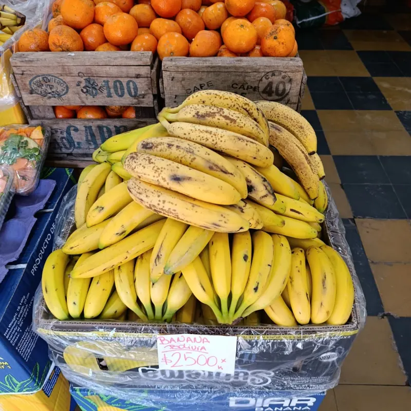 Banana Bolivia