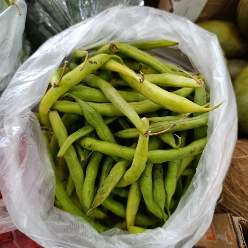 Chaucha Cilíndrica