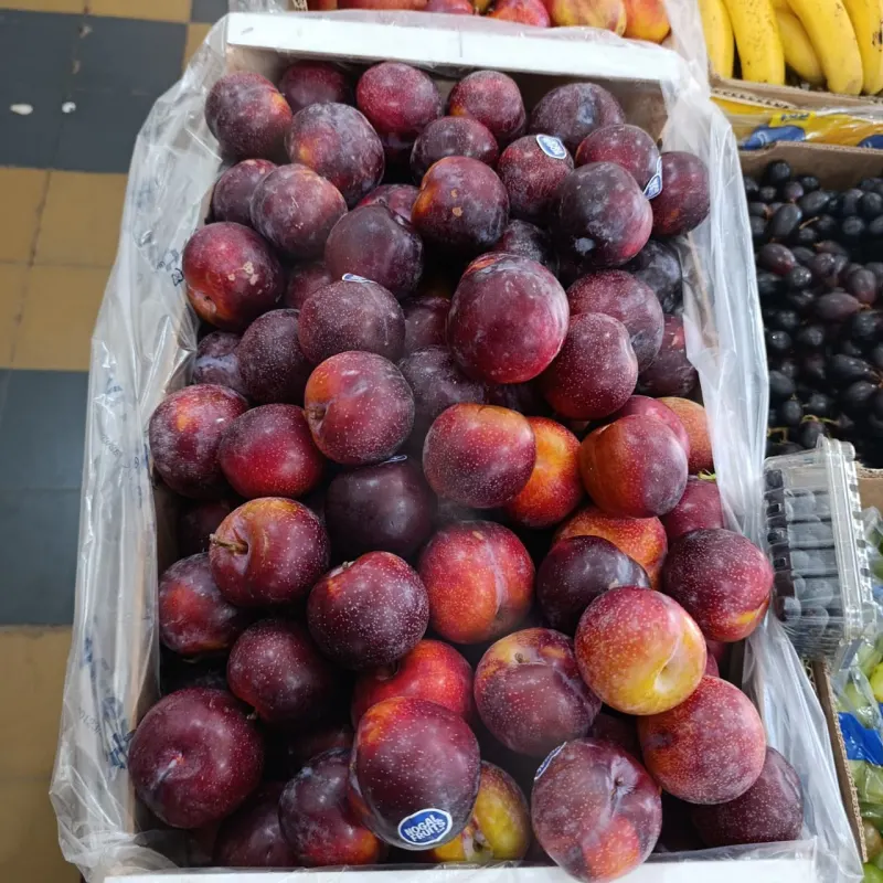 Ciruela Roja