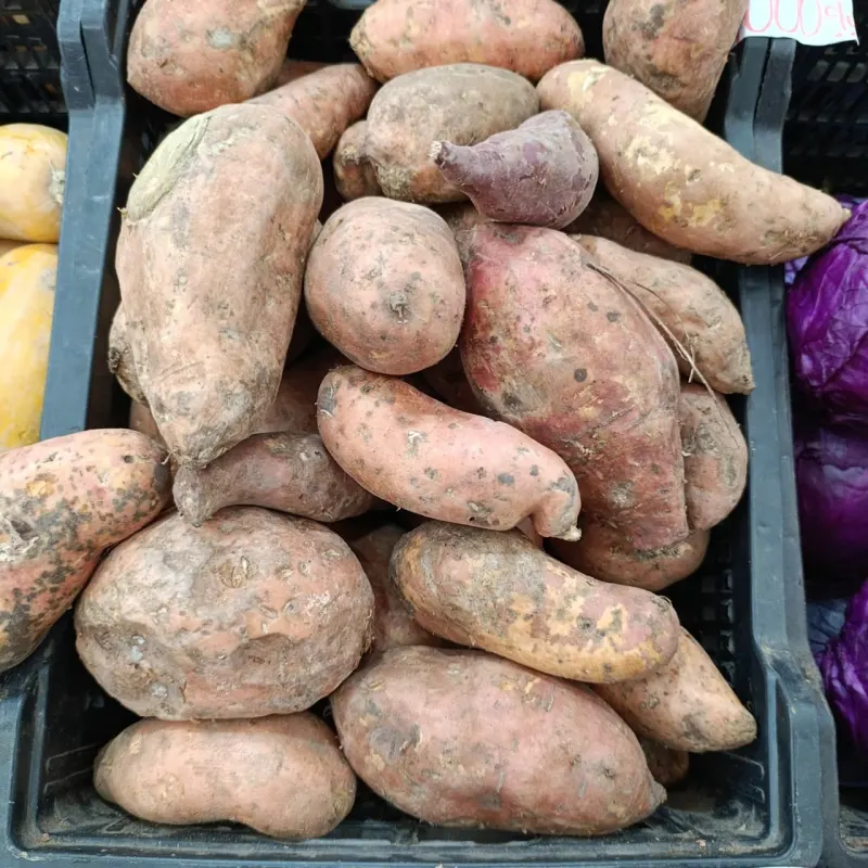 Batata Colorada