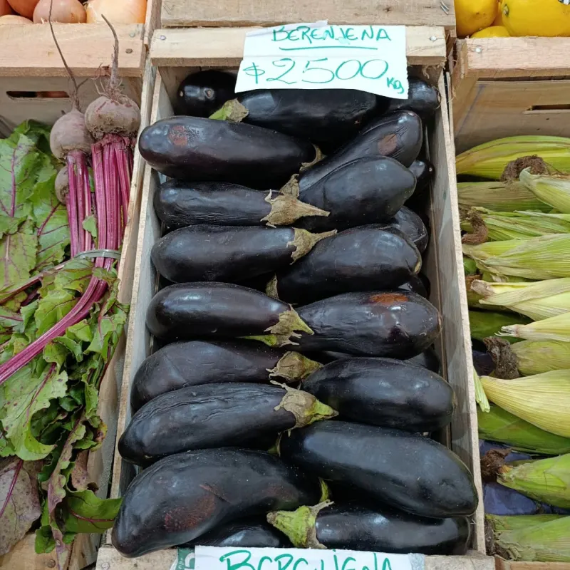 Berenjena