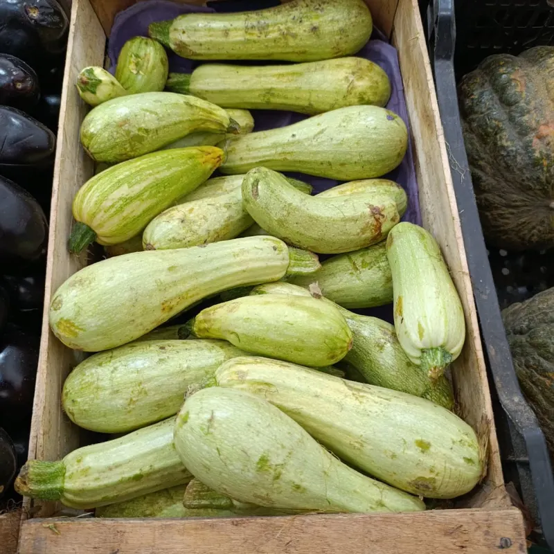 Zucchini