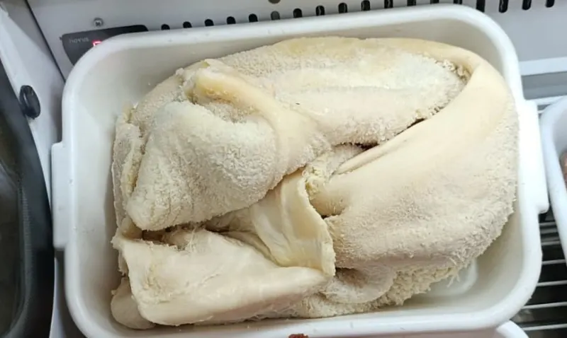 Mondongo