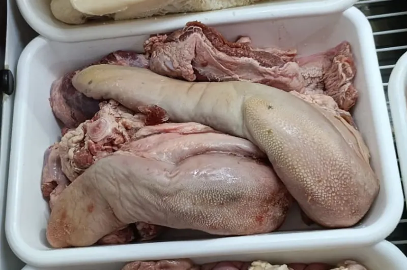 Lengua