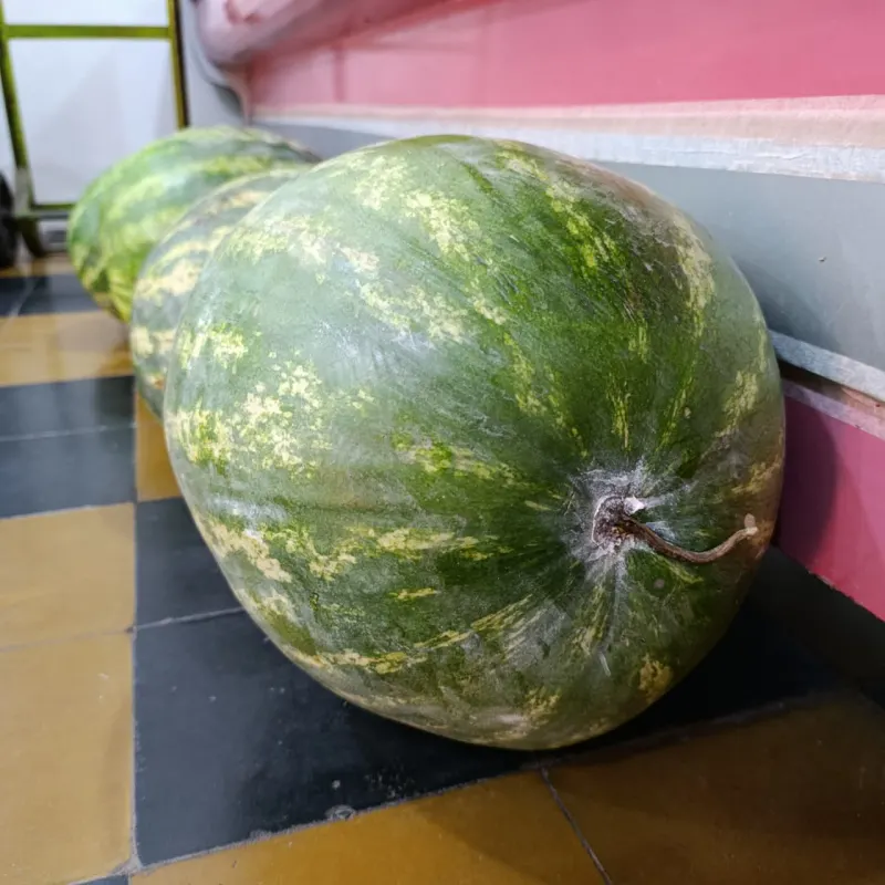 Sandia