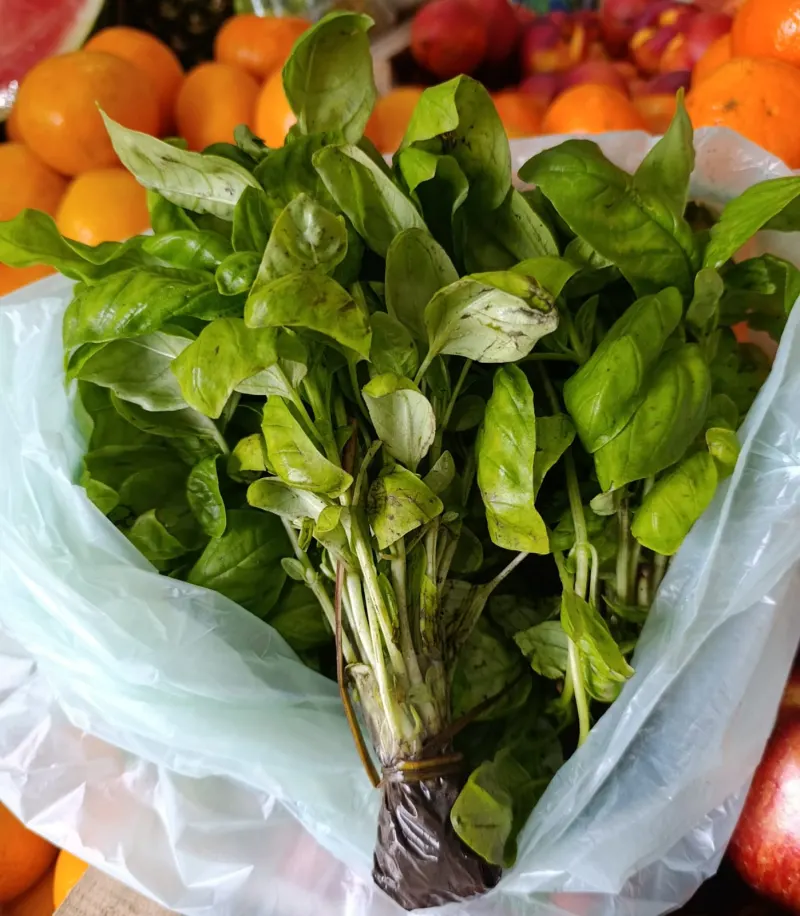Albahaca