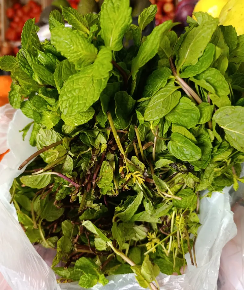 Menta