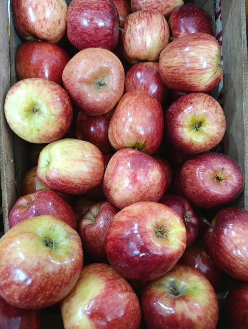 Manzanas