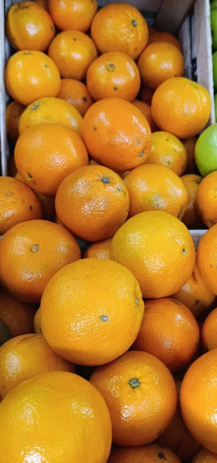 Naranja Ombligo