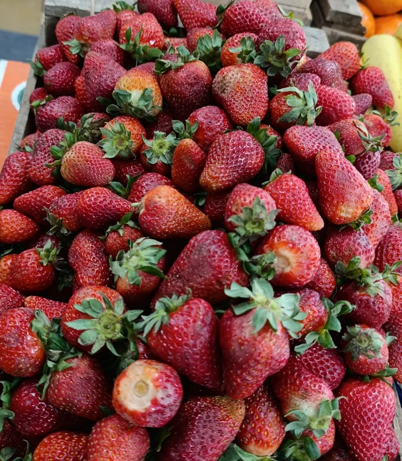 Frutillas