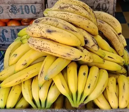 Banana Bolivia