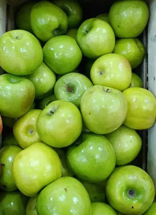 Manzana Verde
