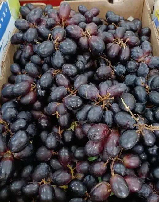 Uva Negra