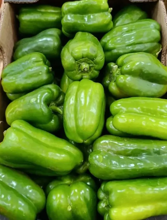 Morrón Verde