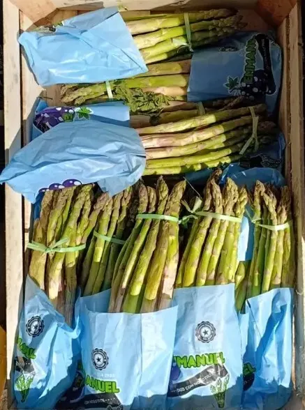 Espárragos Verdes