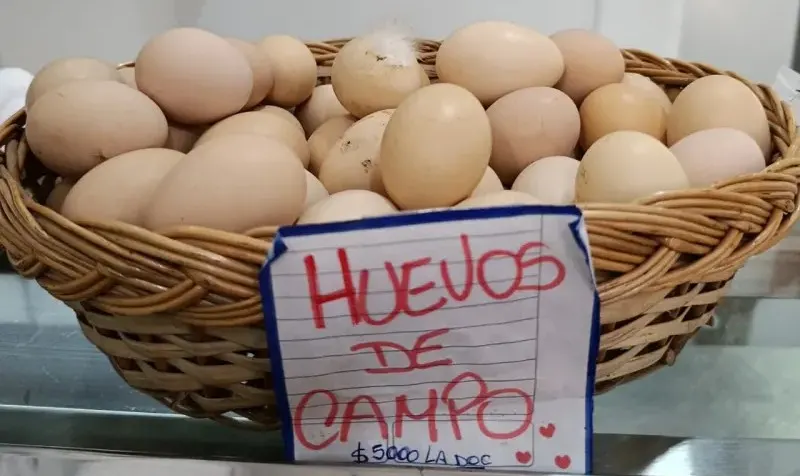 Huevos de campo