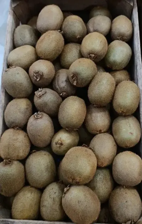 Kiwi