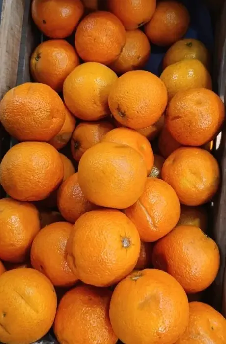 2kg x $3000